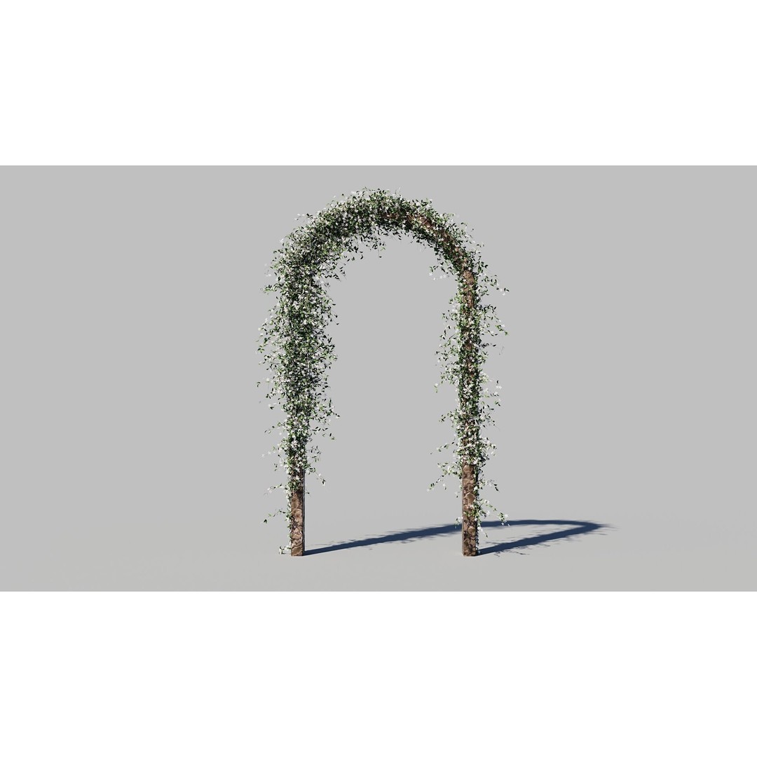 Jasminum Officinale Climbing 3D Model – High Detail, FBX & OBJ Formats - View 5