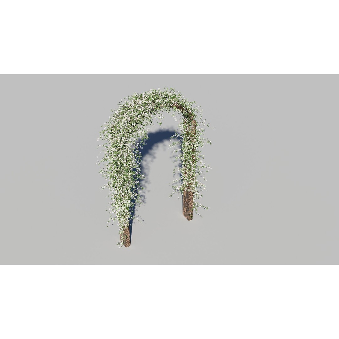 Jasminum Officinale Climbing 3D Model – High Detail, FBX & OBJ Formats - View 6