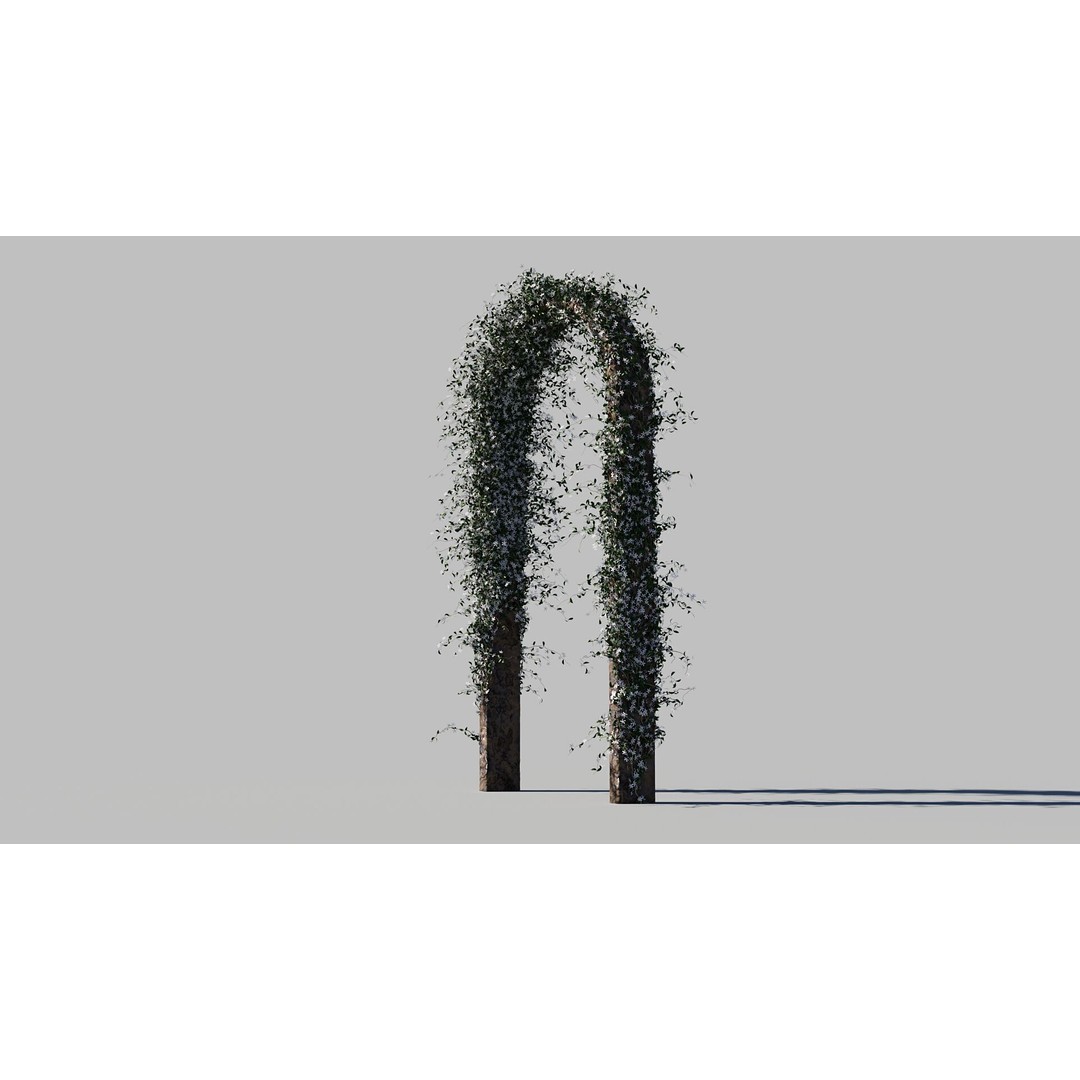 Jasminum Officinale Climbing 3D Model – High Detail, FBX & OBJ Formats - View 7