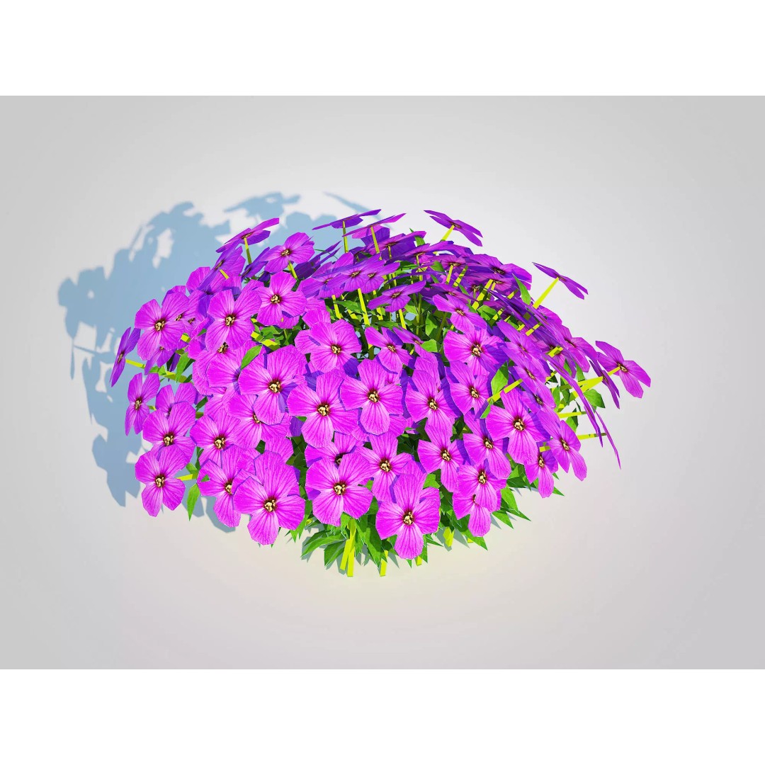 Aubrieta - Rock Cress 3D Model – PBR Game Asset, FBX, VR/AR Ready - View 2