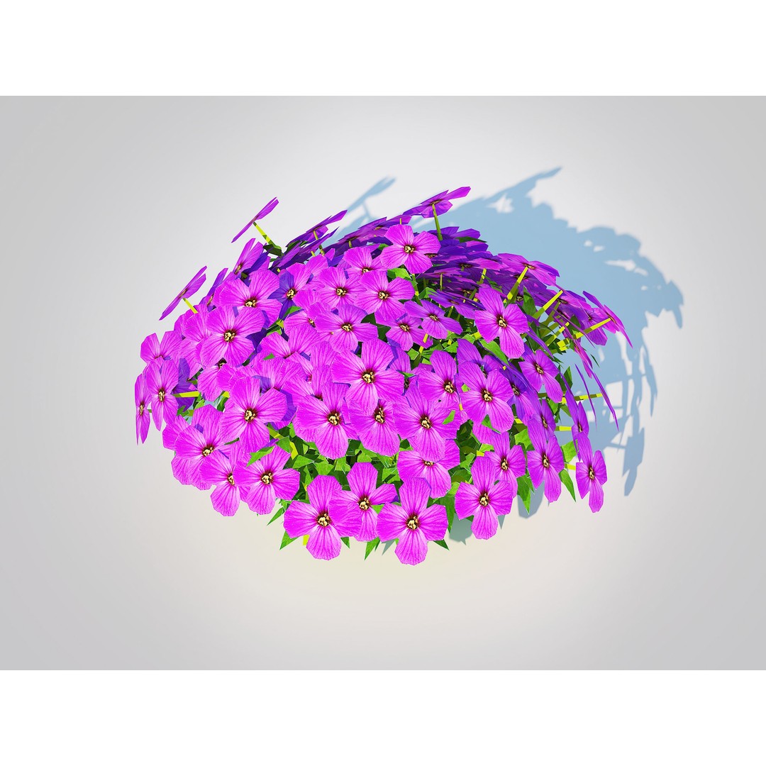 Aubrieta - Rock Cress 3D Model – PBR Game Asset, FBX, VR/AR Ready - View 3