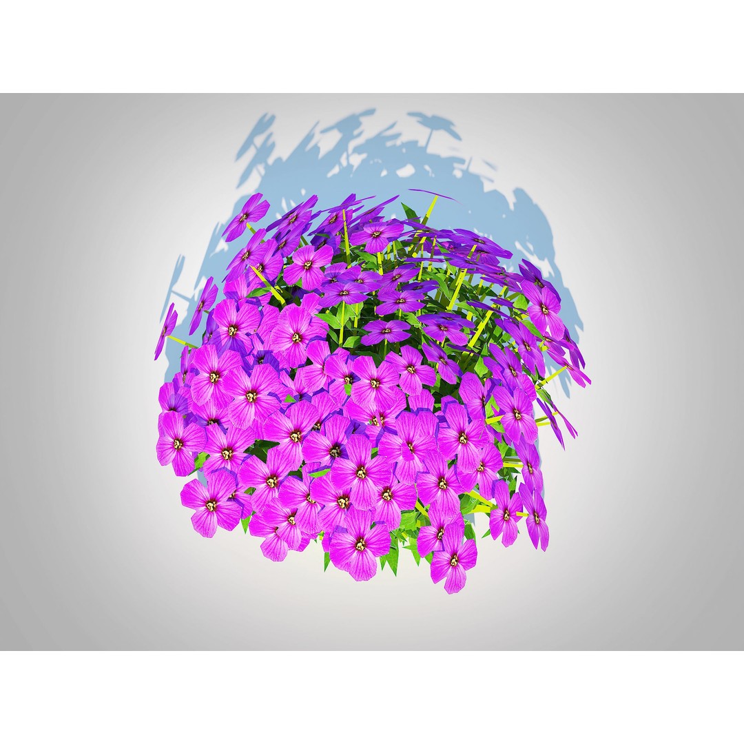 Aubrieta - Rock Cress 3D Model – PBR Game Asset, FBX, VR/AR Ready - View 4