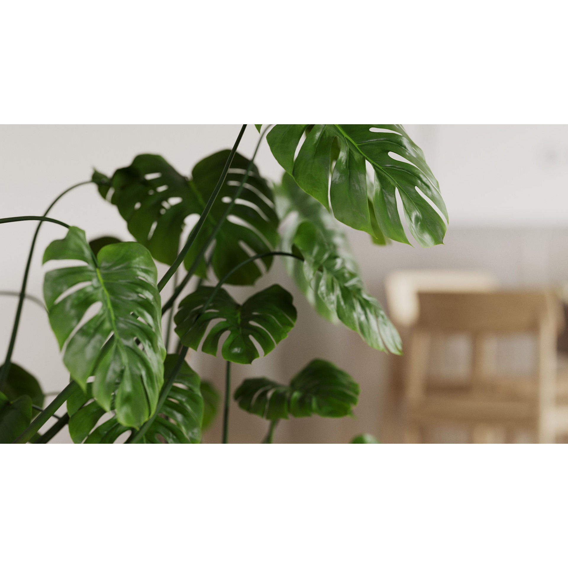 Archinteriors vol 67 - Minimalist Apartment Scene 3D Model - View 20