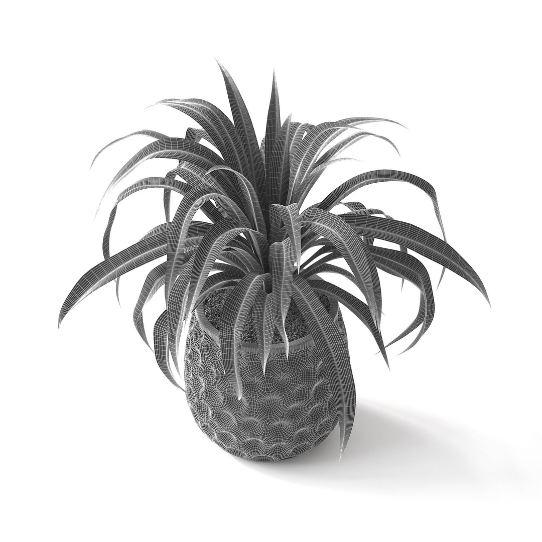 Spider Plant 3D Model – Realistic Indoor Plant, FBX, PBR Textures