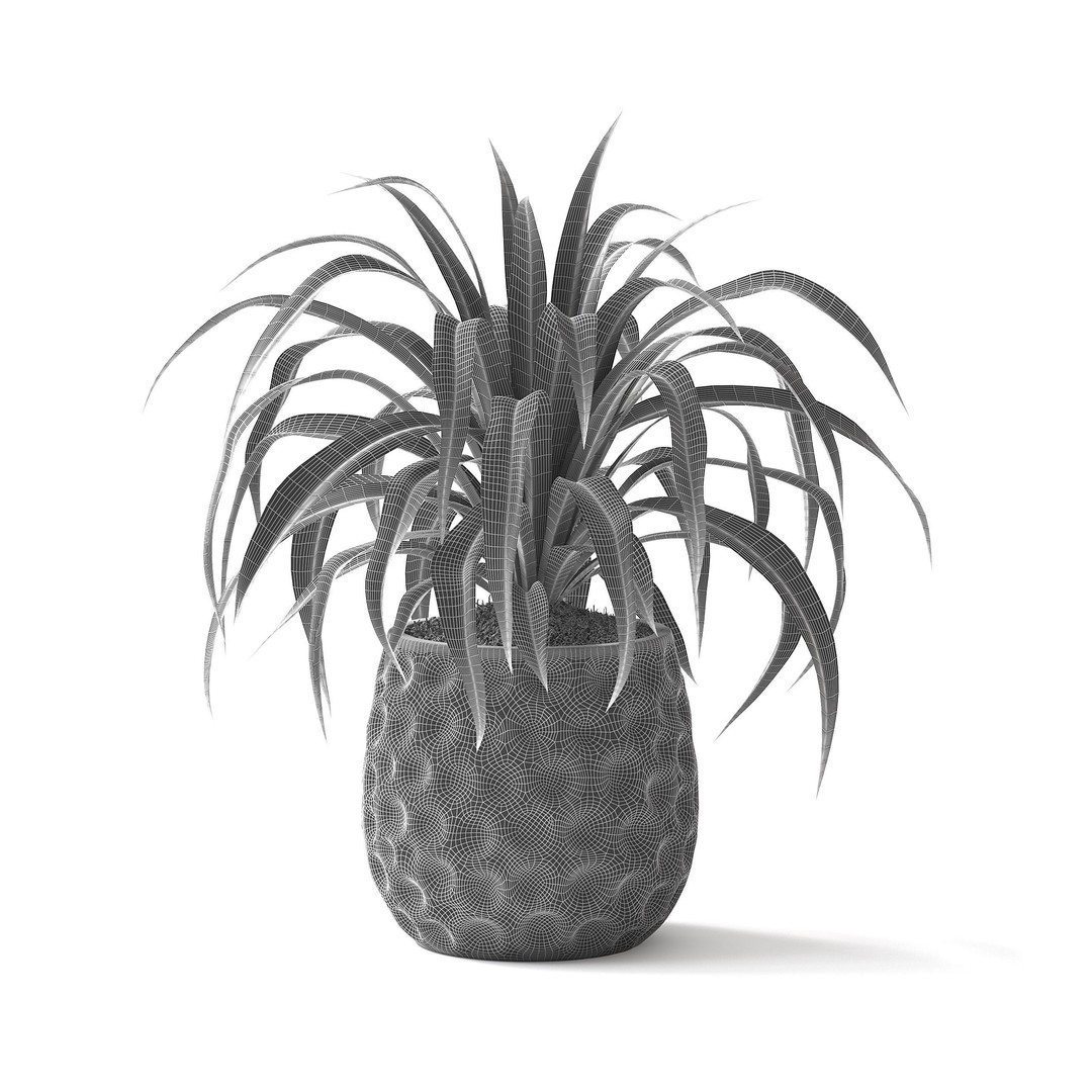 Spider Plant 3D Model – Realistic Indoor Plant, FBX, PBR Textures - View 6