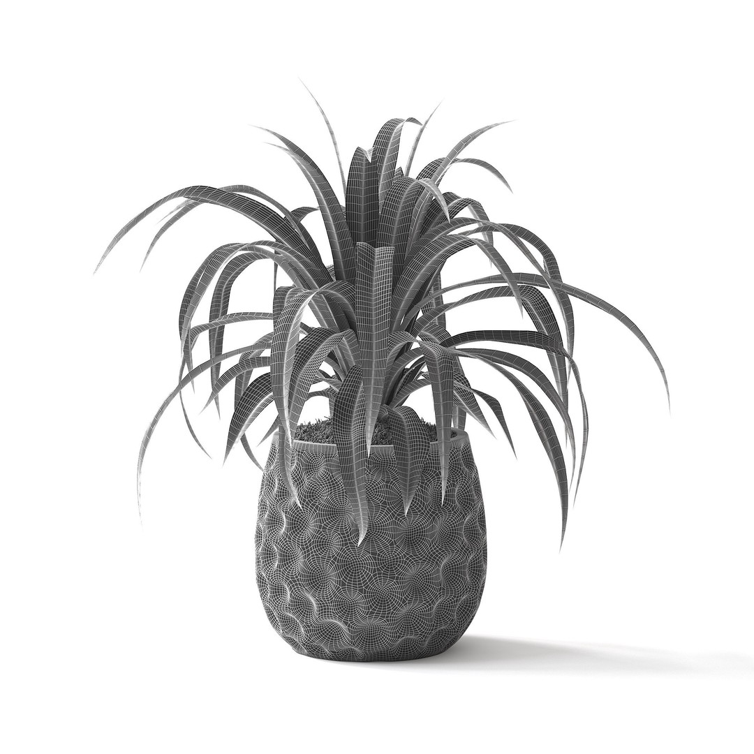Spider Plant 3D Model – Realistic Indoor Plant, FBX, PBR Textures - View 7