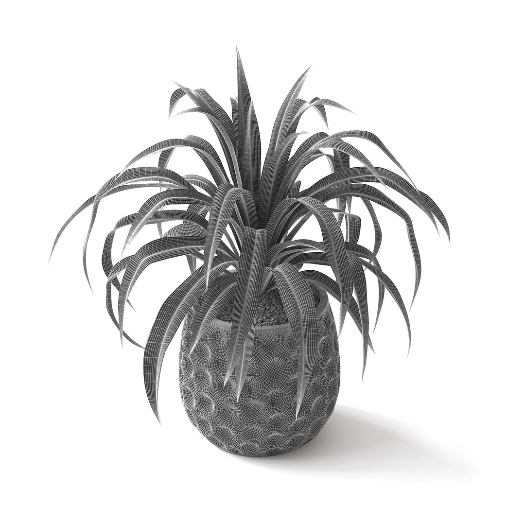 Spider Plant 3D Model – Realistic Indoor Plant, FBX, PBR Textures - View 8