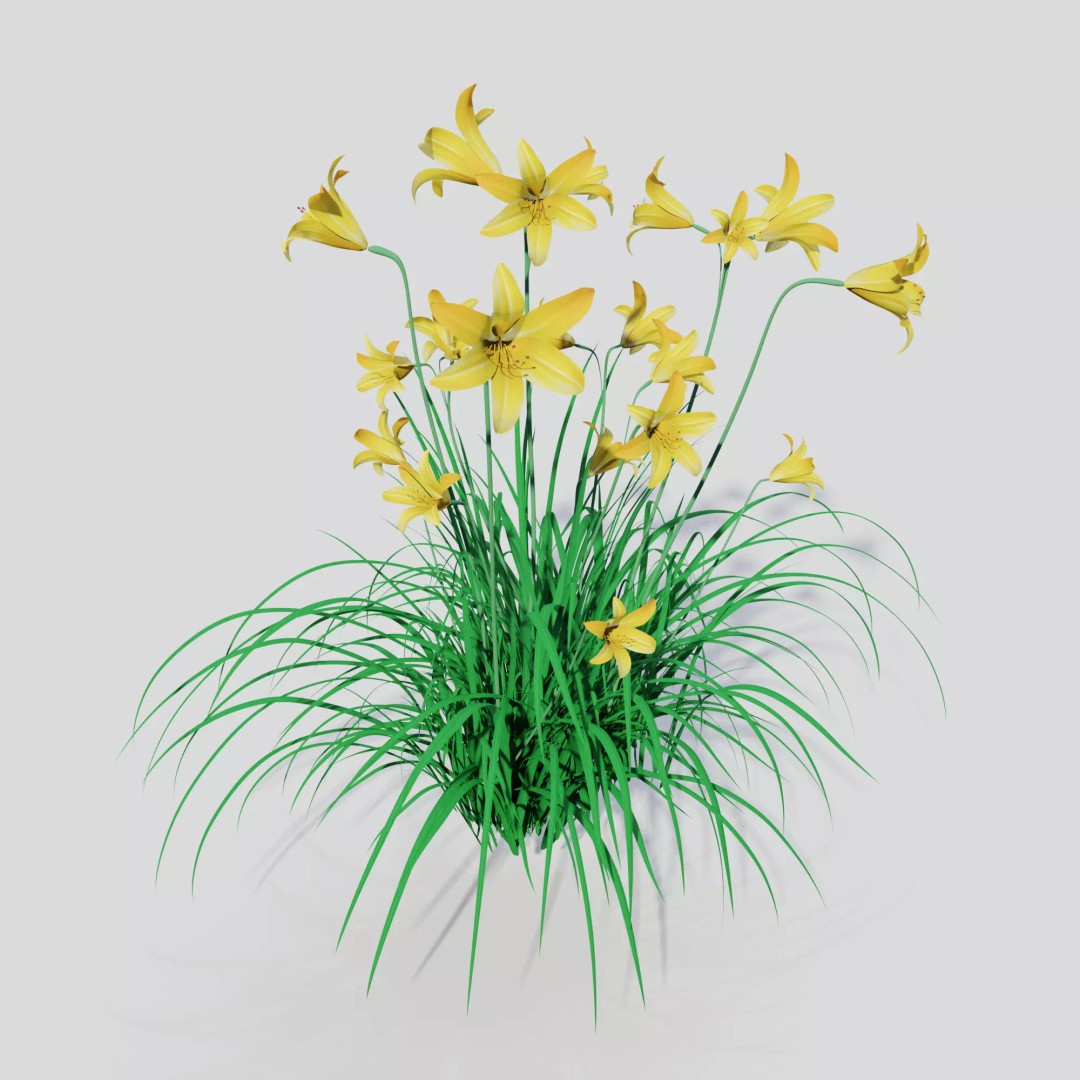 Hemerocallis lilioasphodelus 3D Model – Realistic Flower Asset, FBX - View 2