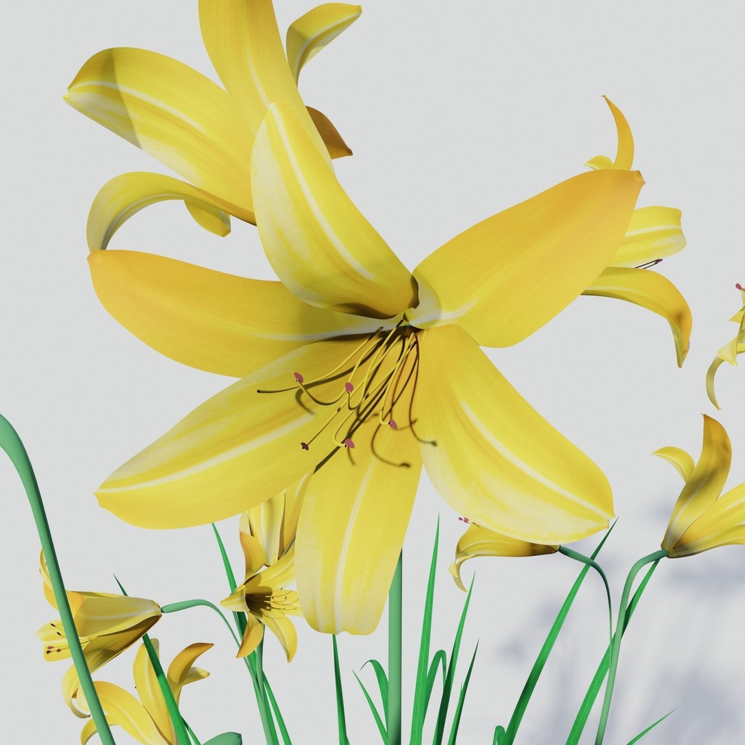 Hemerocallis lilioasphodelus 3D Model – Realistic Flower Asset, FBX - View 4