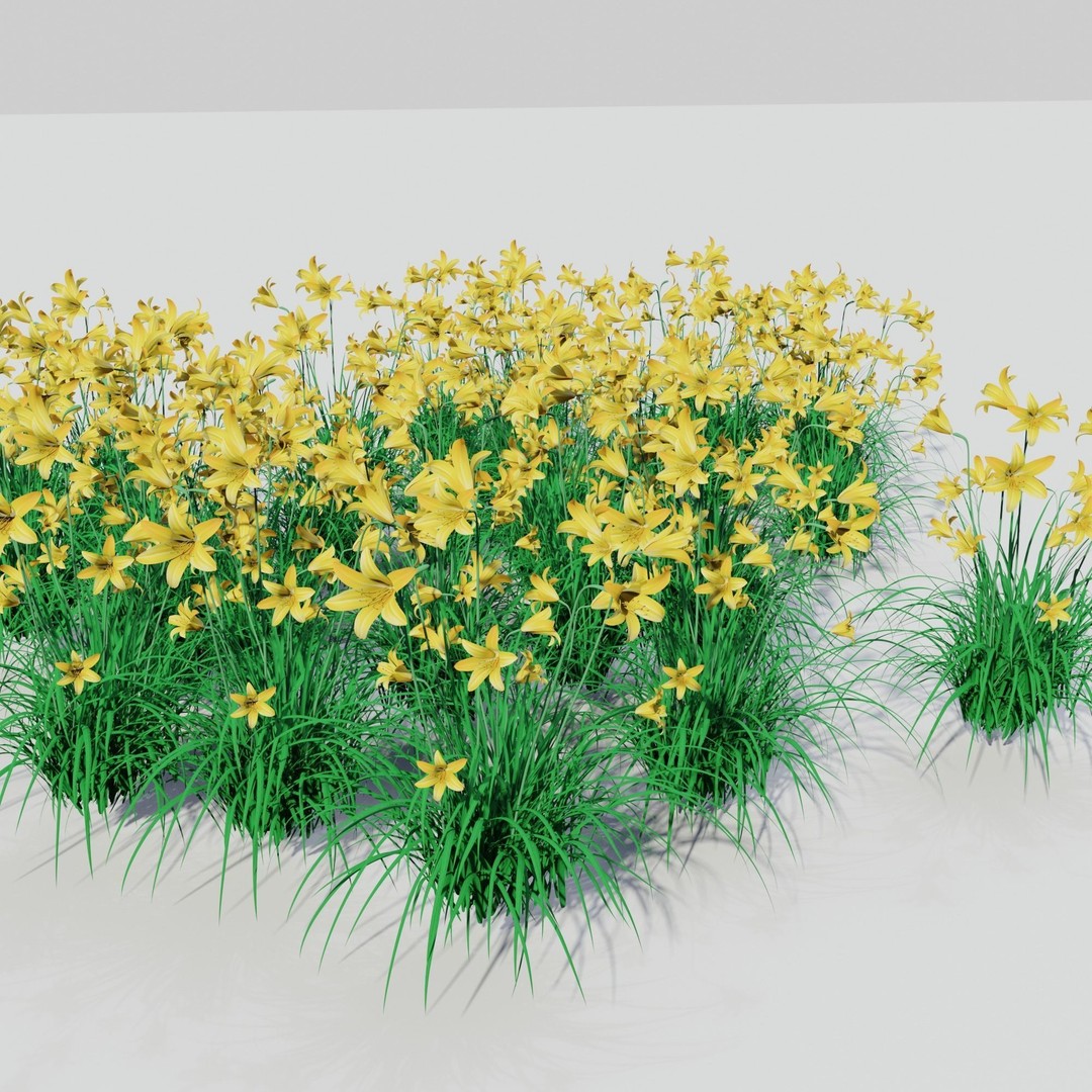 Hemerocallis lilioasphodelus 3D Model – Realistic Flower Asset, FBX - View 6