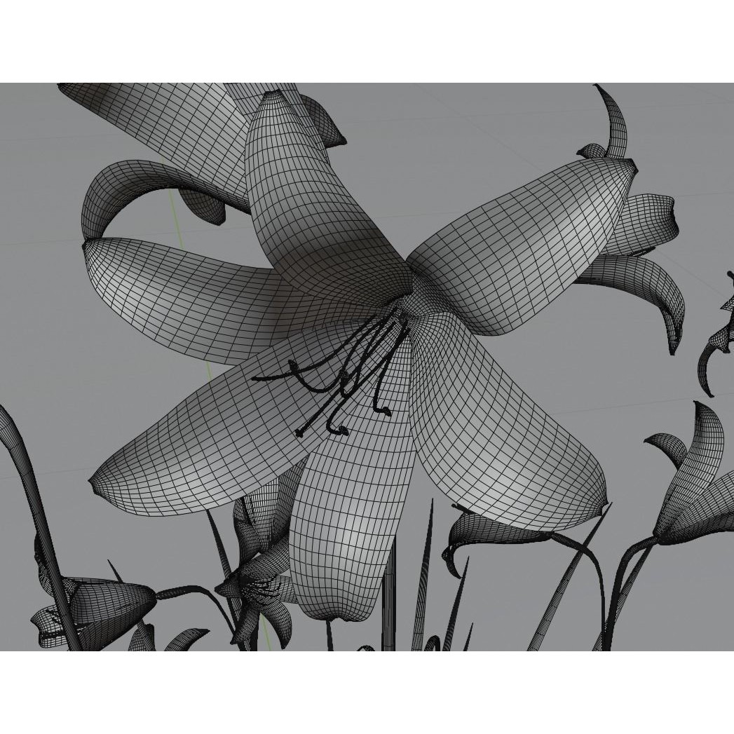 Hemerocallis lilioasphodelus 3D Model – Realistic Flower Asset, FBX - View 9