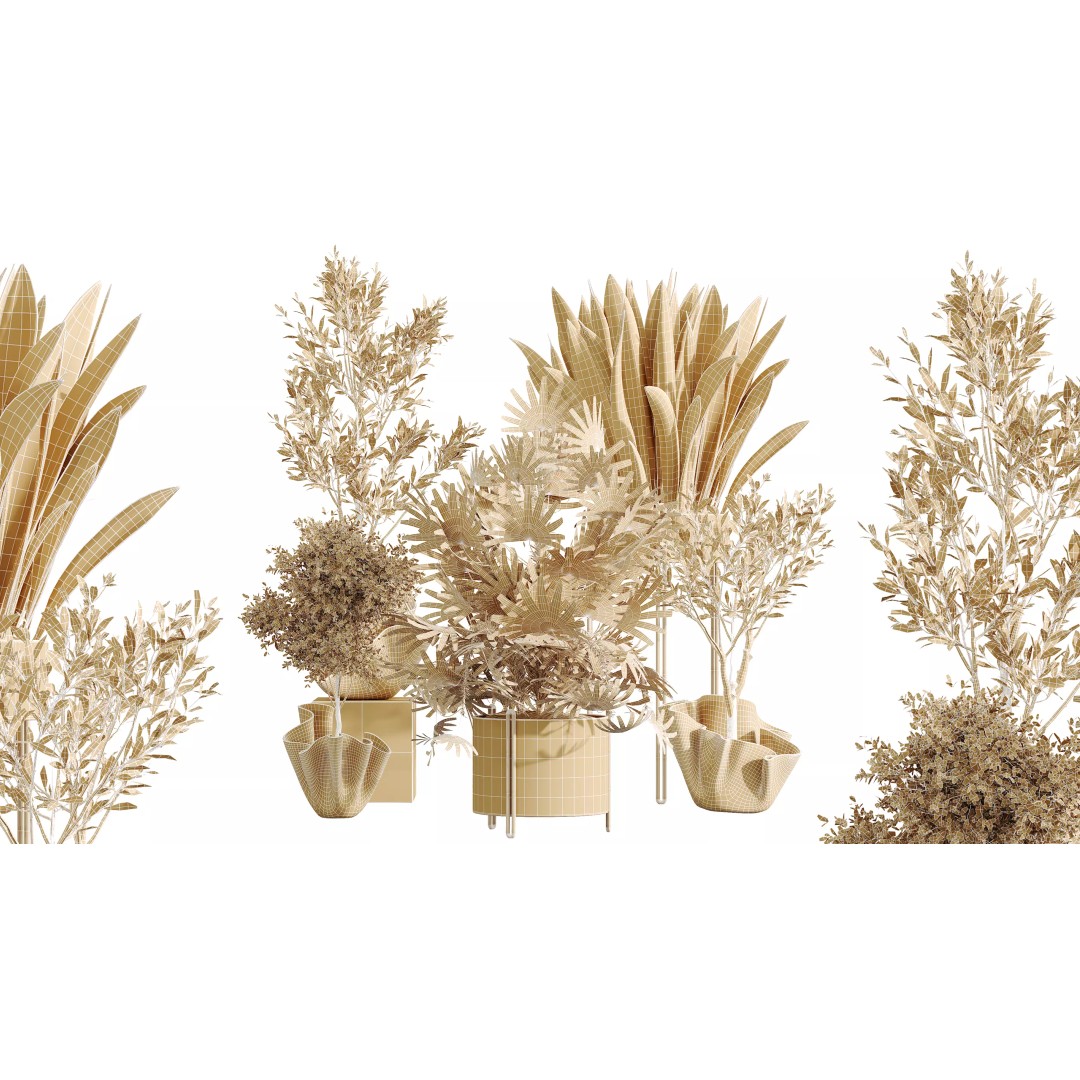 Indoor Plants 3D Model – Realistic Palm, Olive, Sansevieria, FBX, OBJ