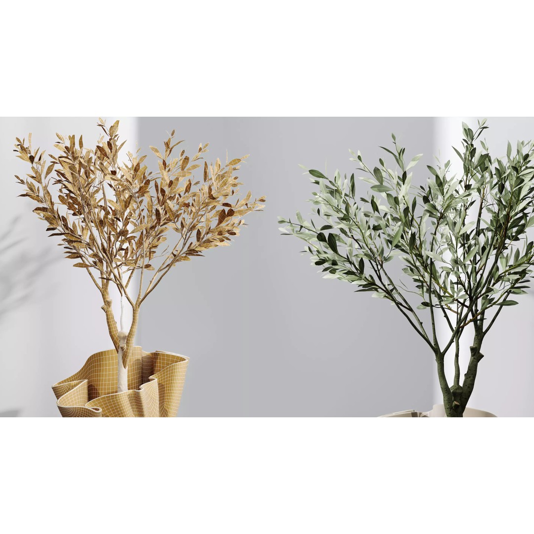 Indoor Plants 3D Model – Realistic Palm, Olive, Sansevieria, FBX, OBJ - View 11