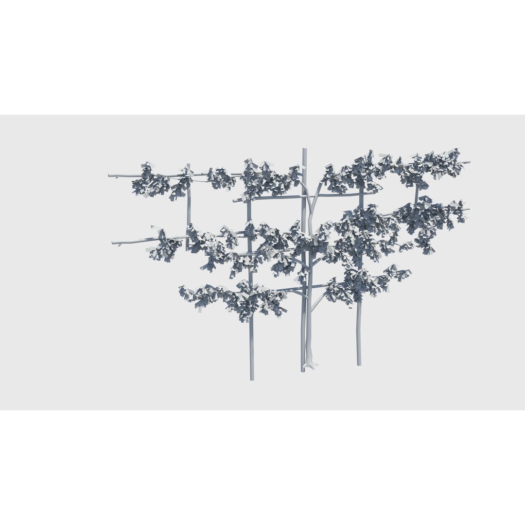 Pear Tree 3D Model – Low Poly Lattice Plant Asset, FBX - View 12