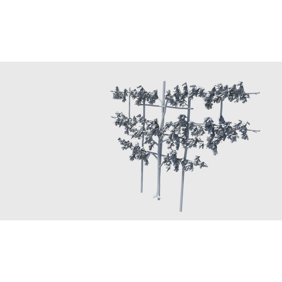 Pear Tree 3D Model – Low Poly Lattice Plant Asset, FBX - View 13