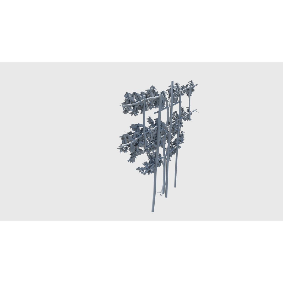 Pear Tree 3D Model – Low Poly Lattice Plant Asset, FBX - View 14