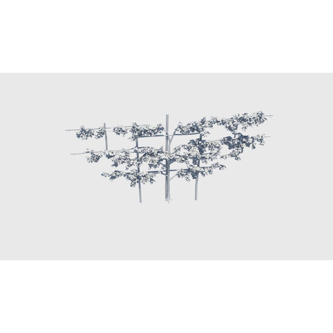 Pear Tree 3D Model – Low Poly Lattice Plant Asset, FBX - View 16