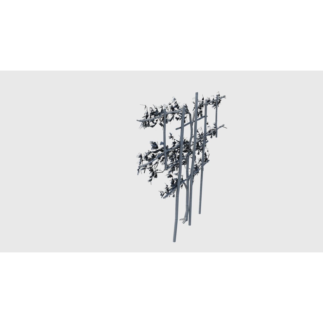 Pear Tree 3D Model – Low Poly Lattice Plant Asset, FBX - View 19