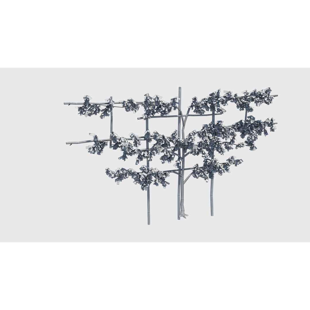 Pear Tree 3D Model – Low Poly Lattice Plant Asset, FBX - View 20