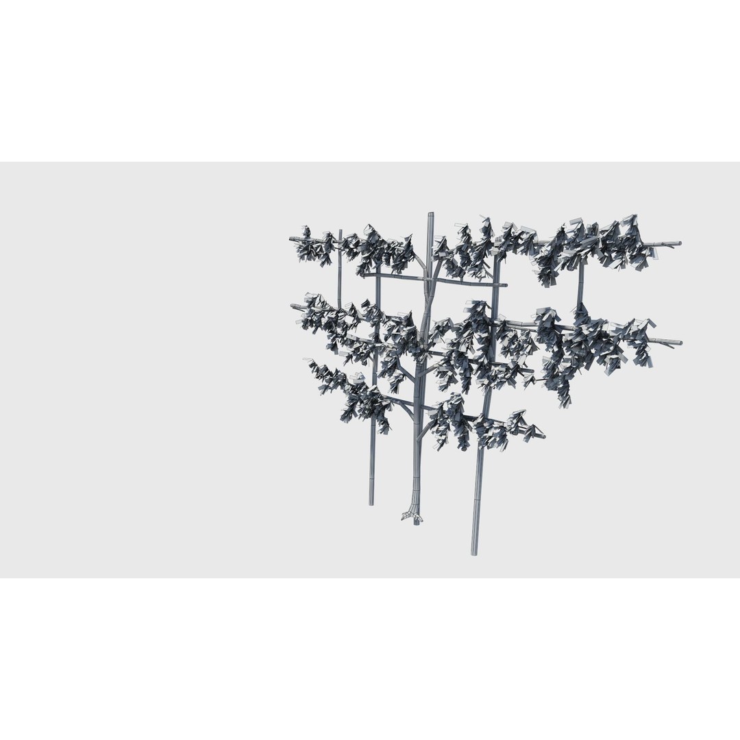 Pear Tree 3D Model – Low Poly Lattice Plant Asset, FBX - View 22