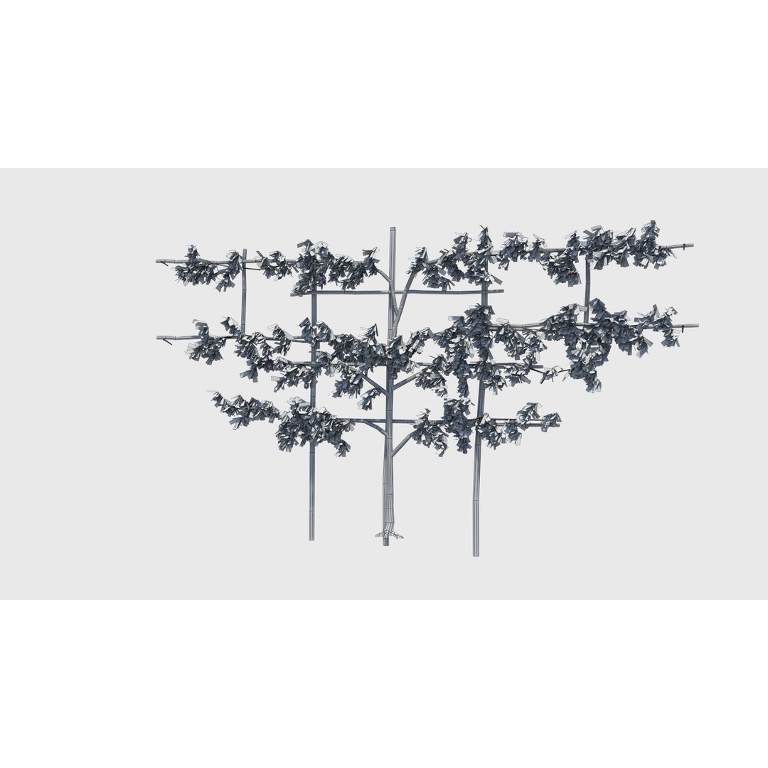Pear Tree 3D Model – Low Poly Lattice Plant Asset, FBX - View 23