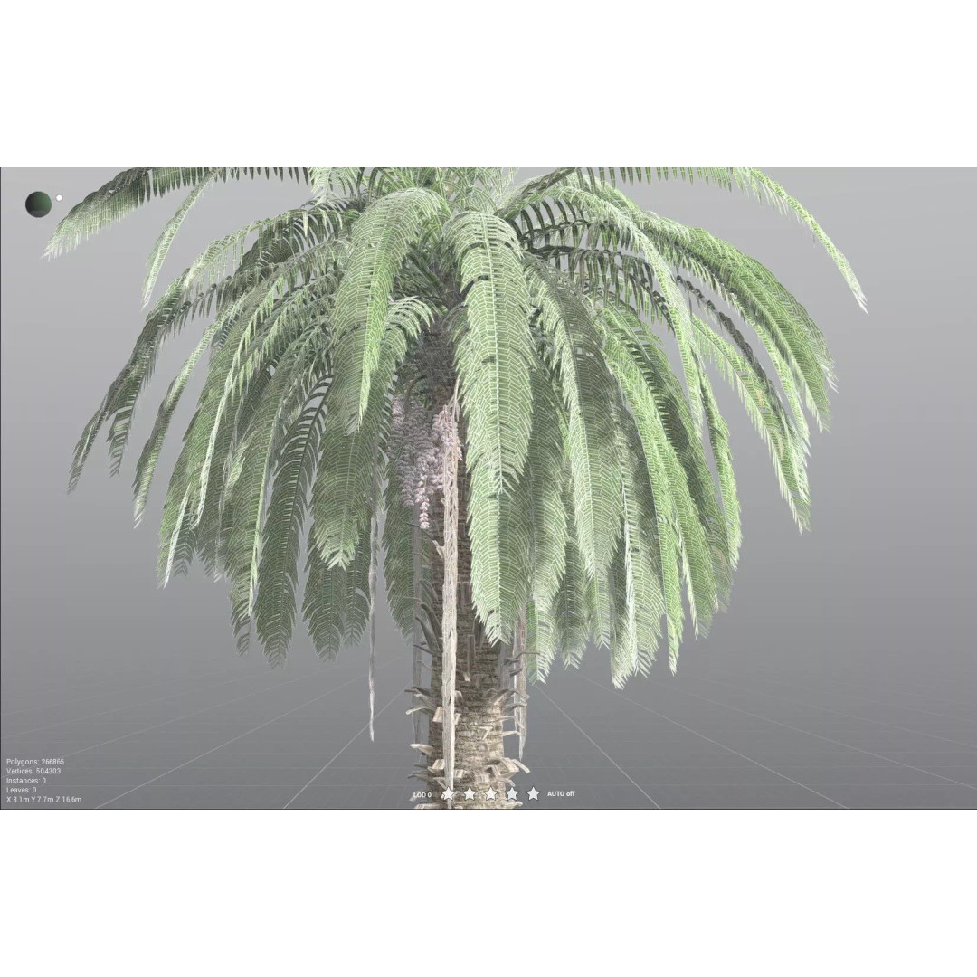 African Oil Palm 3D Model – High Poly PBR Asset, FBX