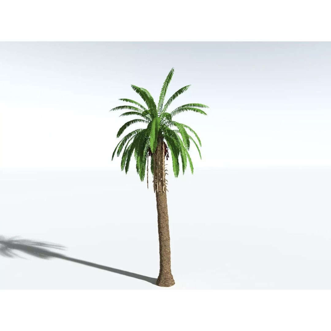 African Oil Palm 3D Model – High Poly PBR Asset, FBX - View 12