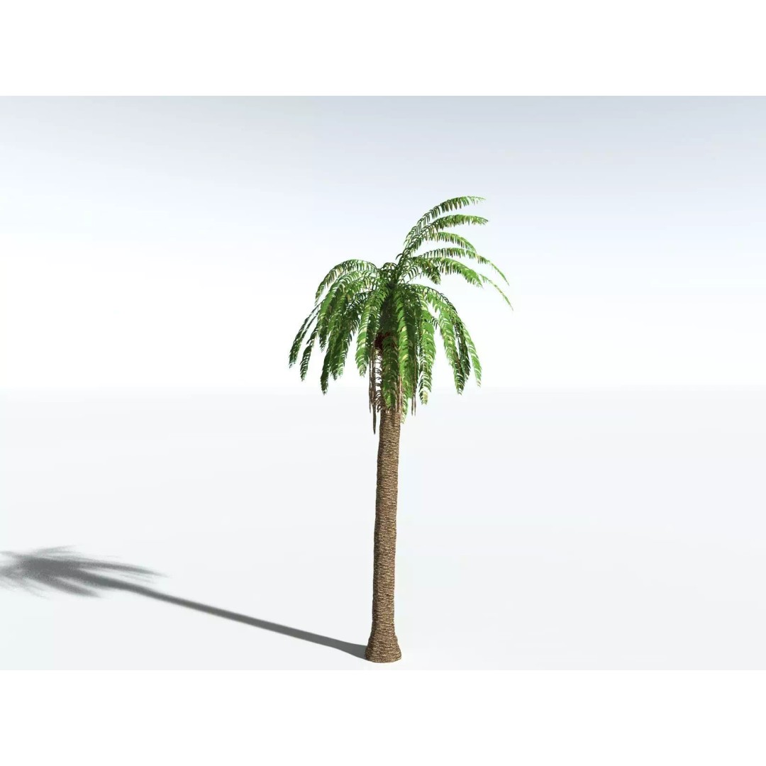 African Oil Palm 3D Model – High Poly PBR Asset, FBX - View 14