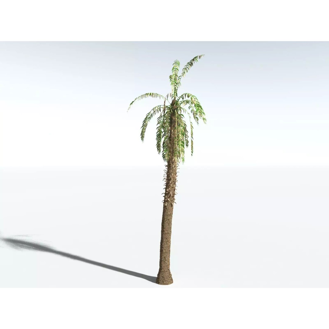 African Oil Palm 3D Model – High Poly PBR Asset, FBX - View 16