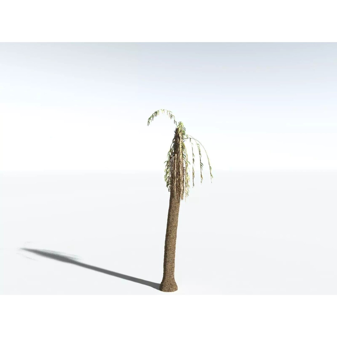 African Oil Palm 3D Model – High Poly PBR Asset, FBX - View 18