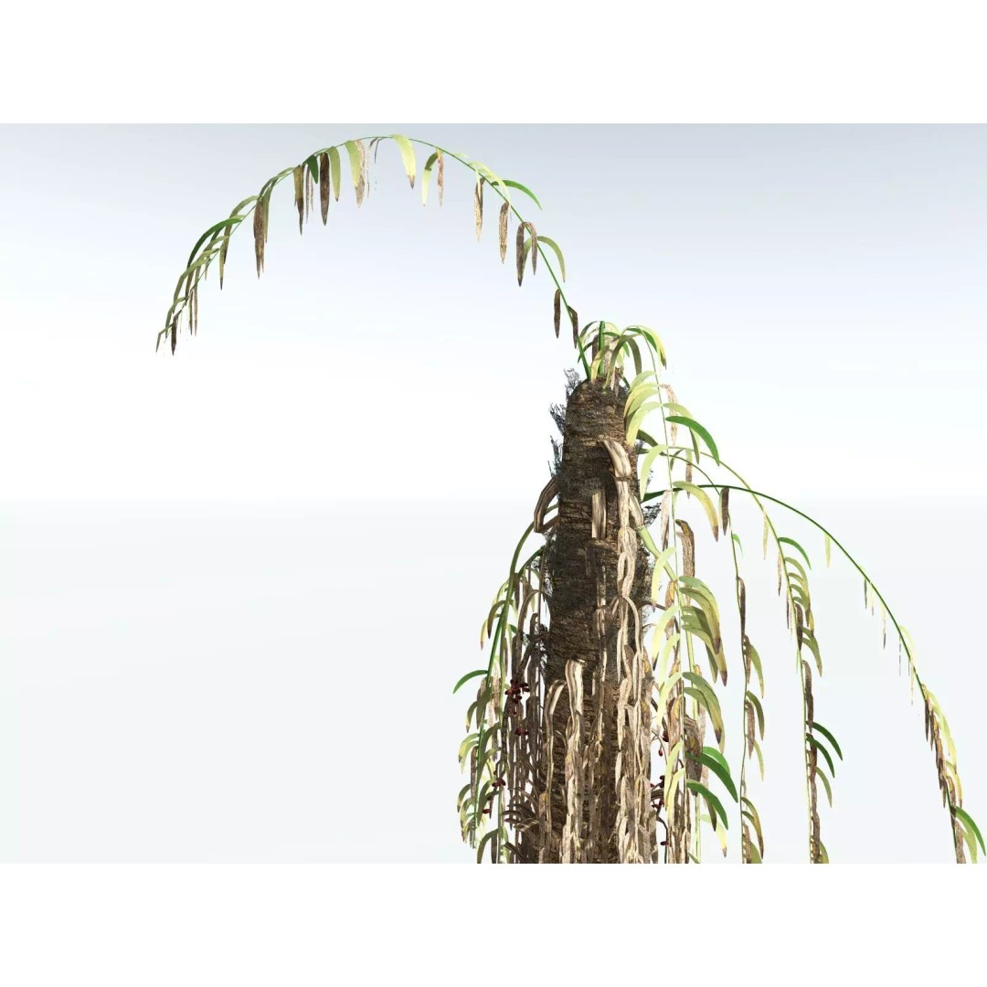 African Oil Palm 3D Model – High Poly PBR Asset, FBX - View 19