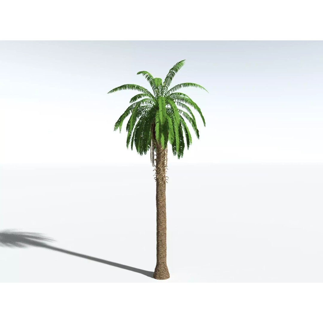 African Oil Palm 3D Model – High Poly PBR Asset, FBX - View 2