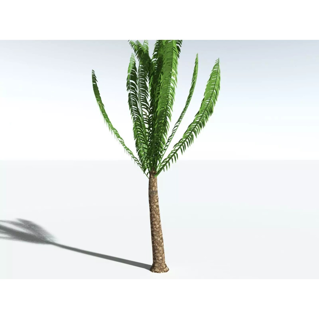 African Oil Palm 3D Model – High Poly PBR Asset, FBX - View 29