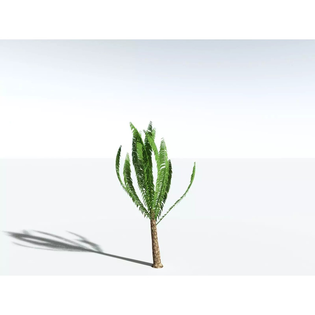 African Oil Palm 3D Model – High Poly PBR Asset, FBX - View 31