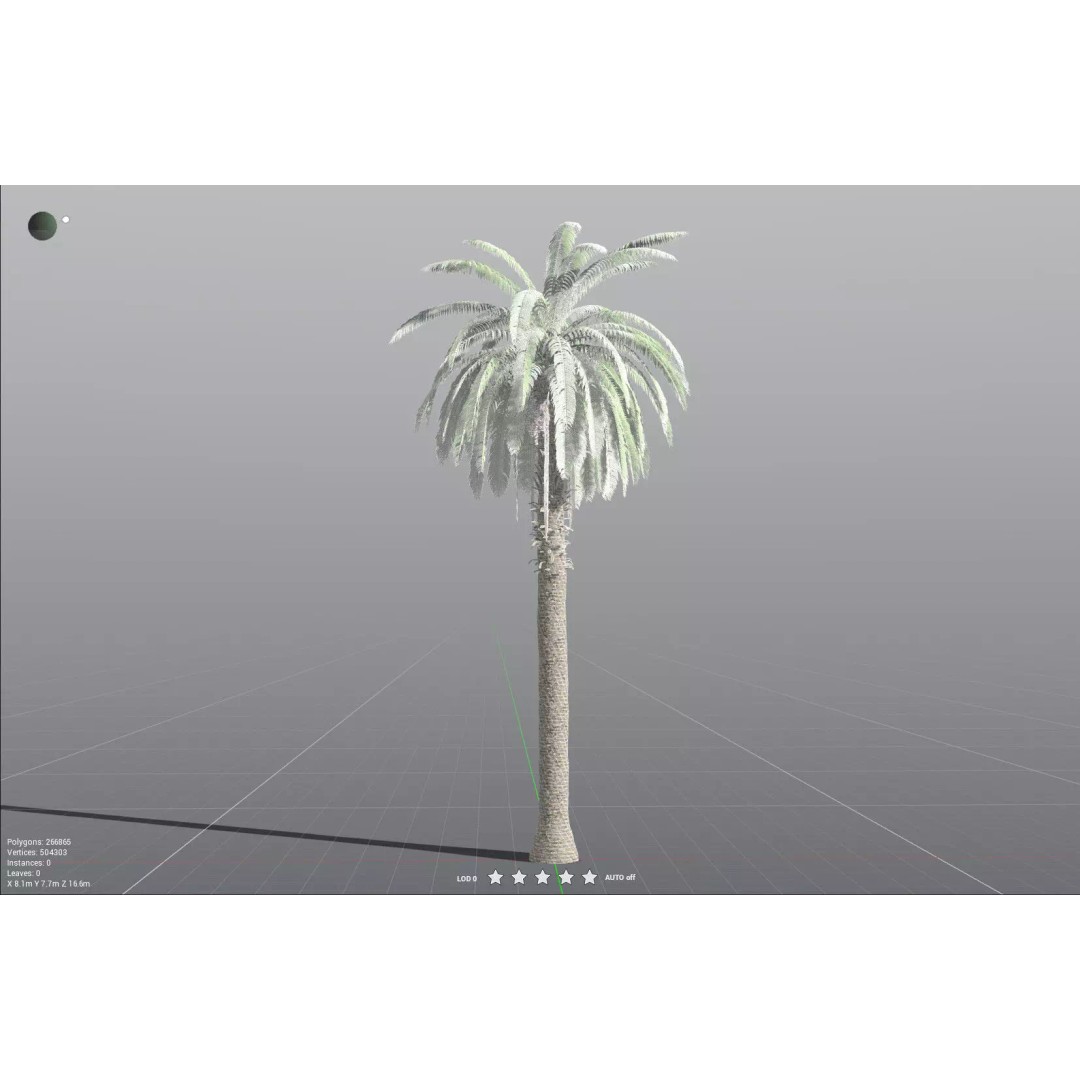 African Oil Palm 3D Model – High Poly PBR Asset, FBX - View 34