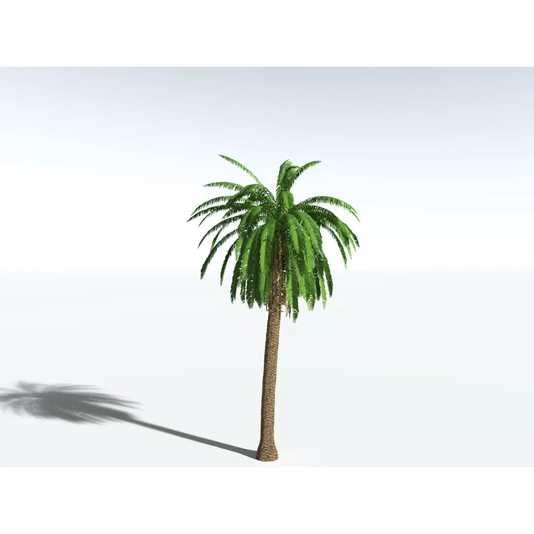African Oil Palm 3D Model – High Poly PBR Asset, FBX - View 8