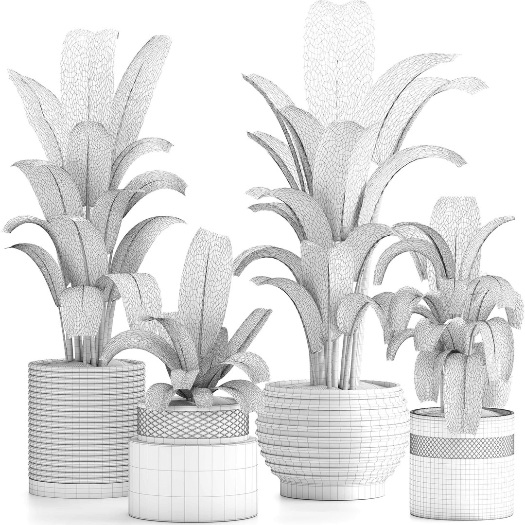 Indoor Plant Set 016 3D Model – High Poly PBR Asset, FBX, OBJ