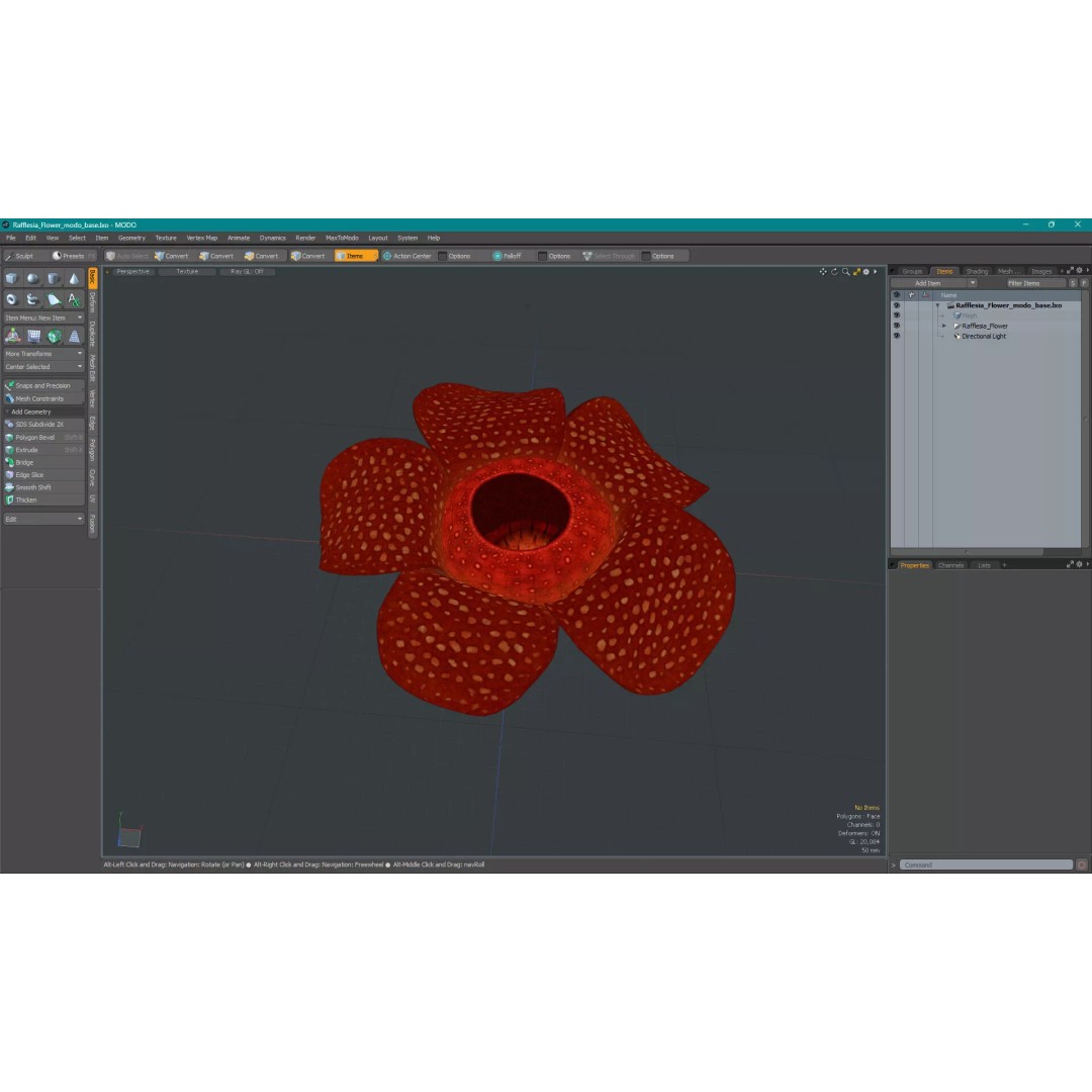 Rafflesia Flower 3D Model – High Poly PBR Botanical Asset, FBX