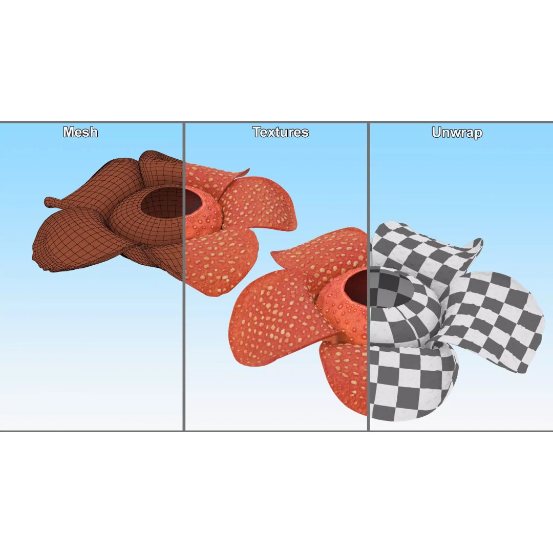 Rafflesia Flower 3D Model – High Poly PBR Botanical Asset, FBX - View 10