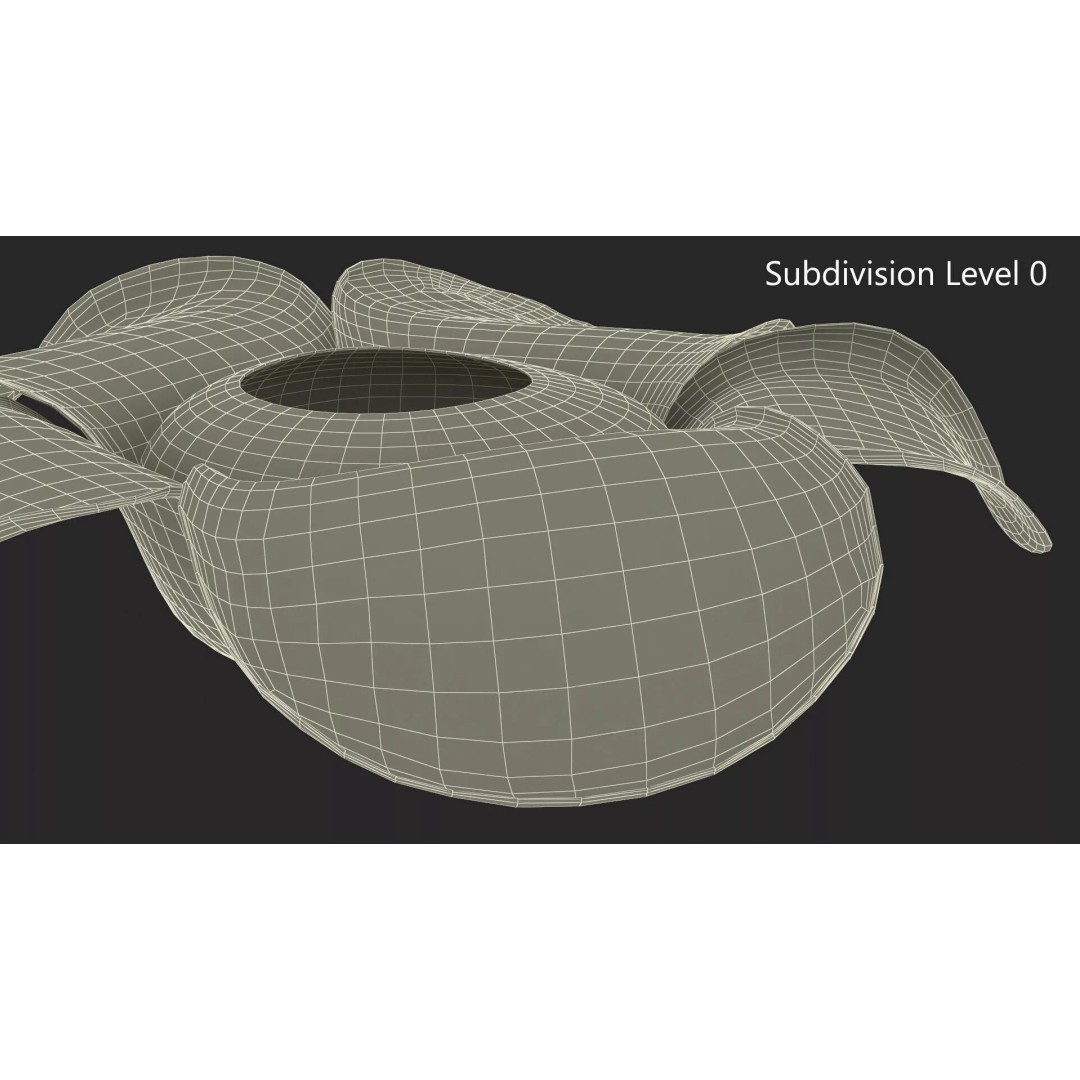 Rafflesia Flower 3D Model – High Poly PBR Botanical Asset, FBX - View 11