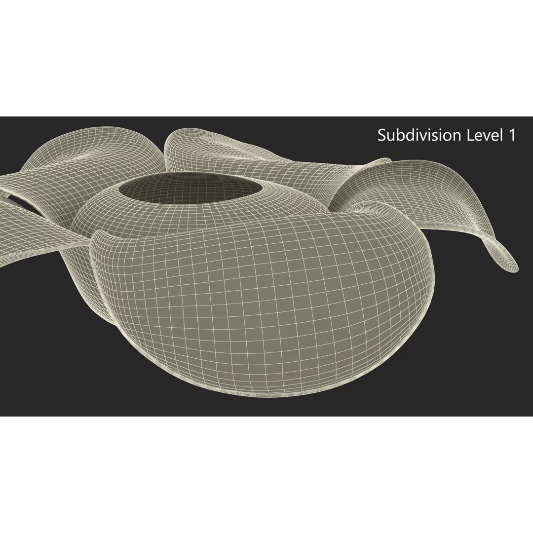 Rafflesia Flower 3D Model – High Poly PBR Botanical Asset, FBX - View 12