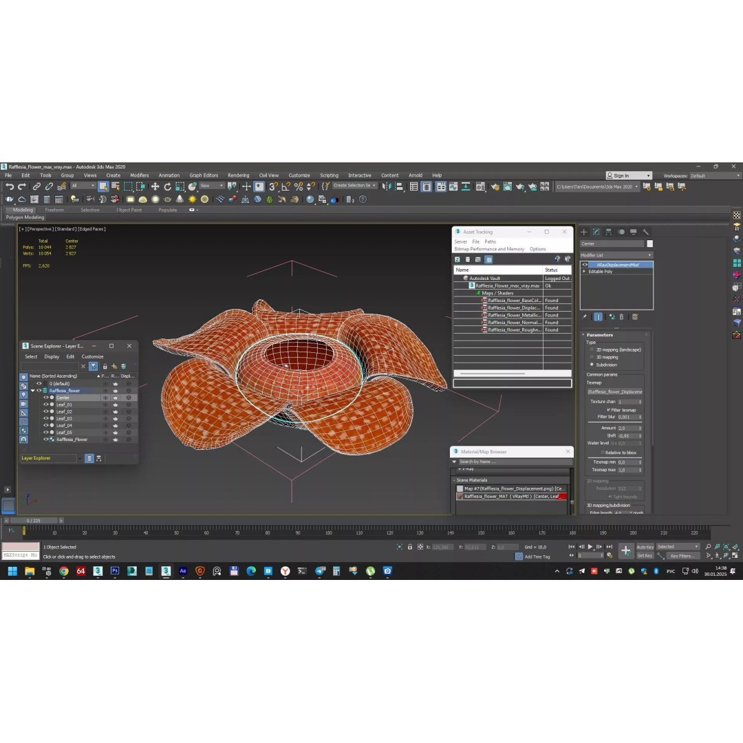 Rafflesia Flower 3D Model – High Poly PBR Botanical Asset, FBX - View 15