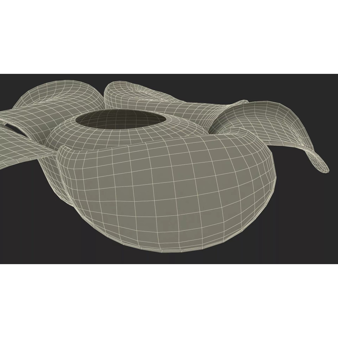 Rafflesia Flower 3D Model – High Poly PBR Botanical Asset, FBX - View 17
