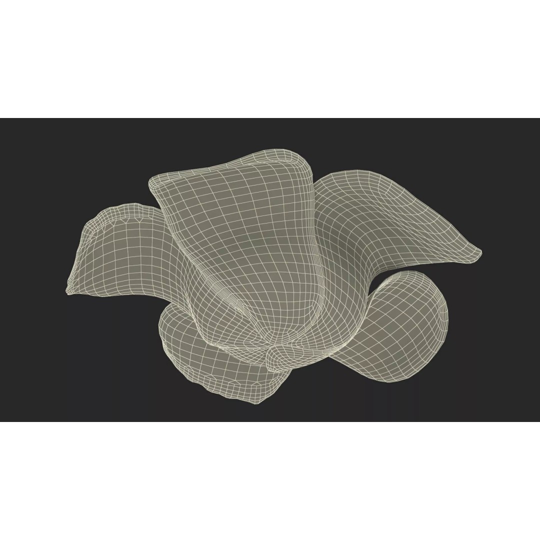 Rafflesia Flower 3D Model – High Poly PBR Botanical Asset, FBX - View 18