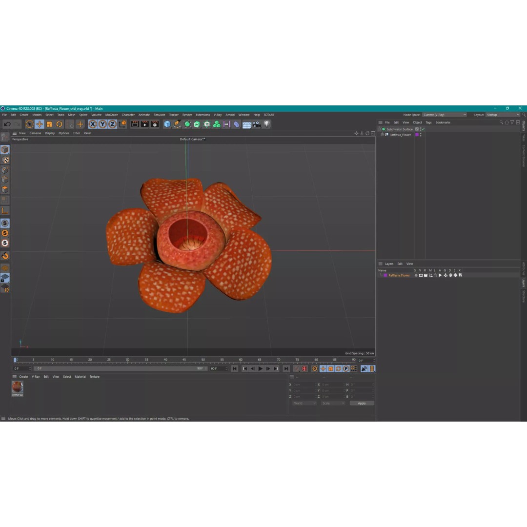 Rafflesia Flower 3D Model – High Poly PBR Botanical Asset, FBX - View 19