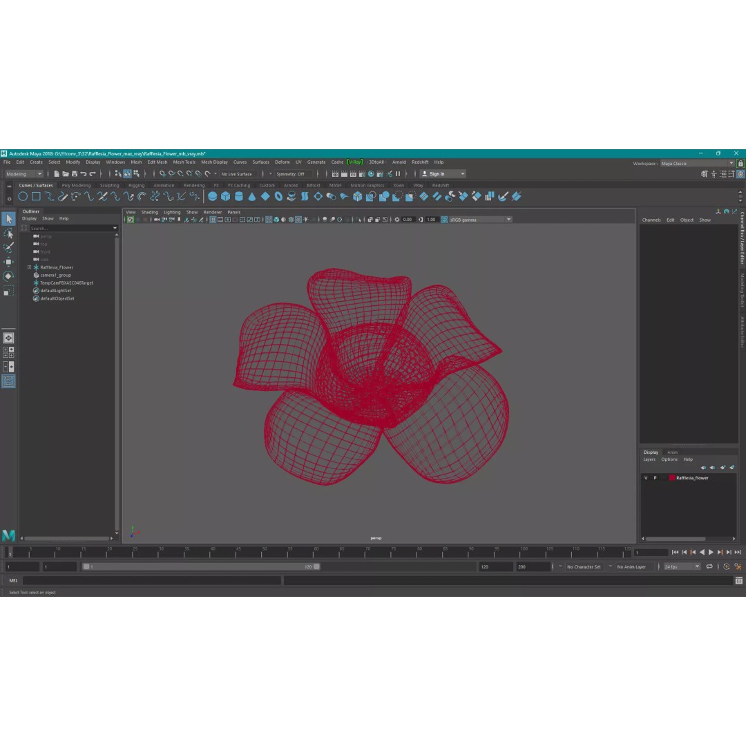 Rafflesia Flower 3D Model – High Poly PBR Botanical Asset, FBX - View 20