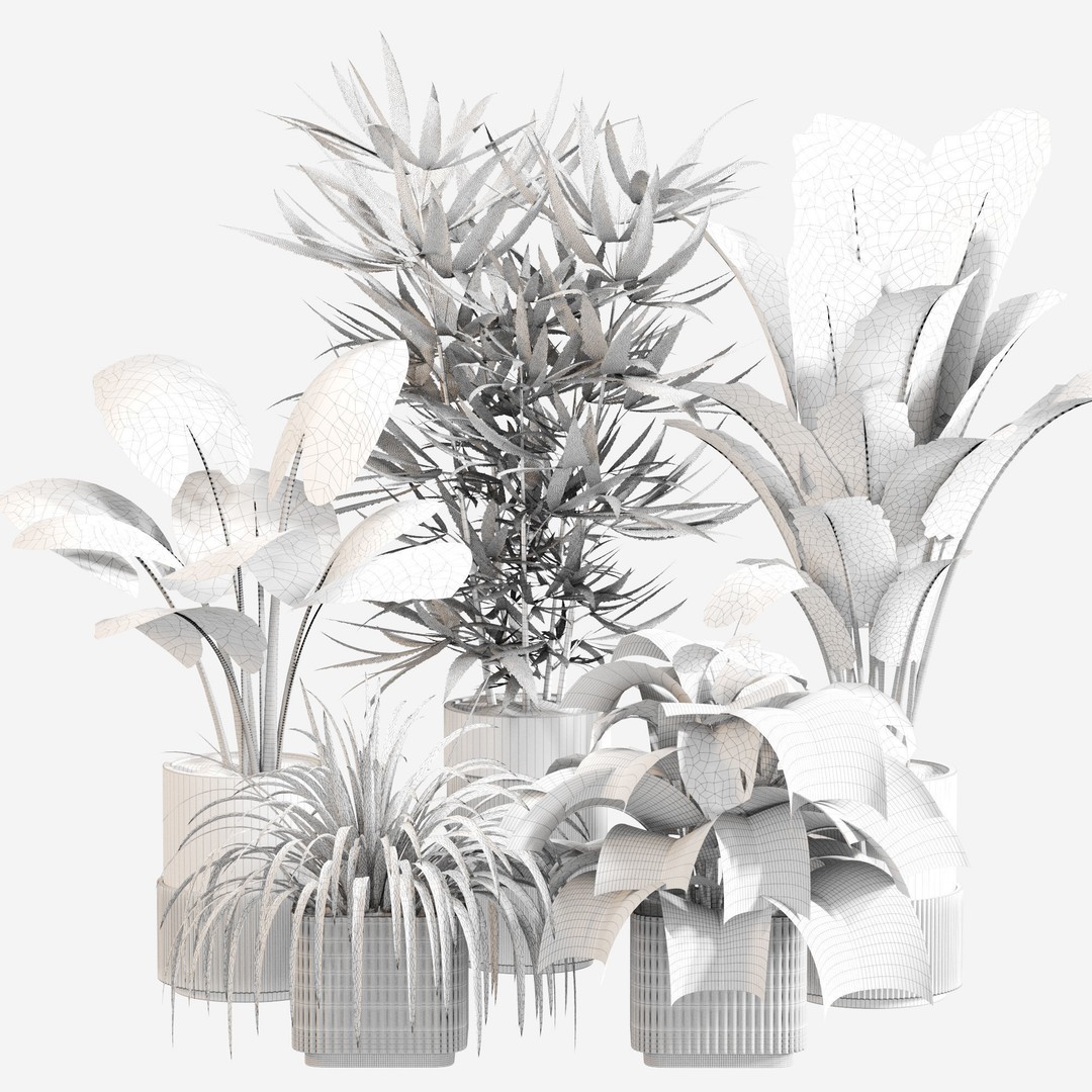 Indoor Plant Set 3D Model – PBR Textured Pot Plants, FBX & OBJ - View 7