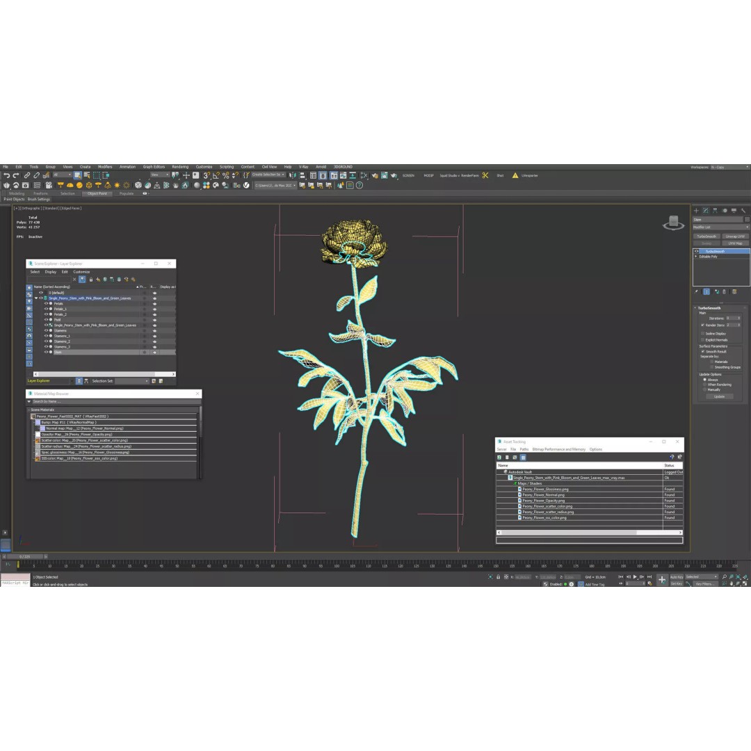 Single Peony Stem 3D Model – Realistic Floral Asset with PBR Textures - View 13