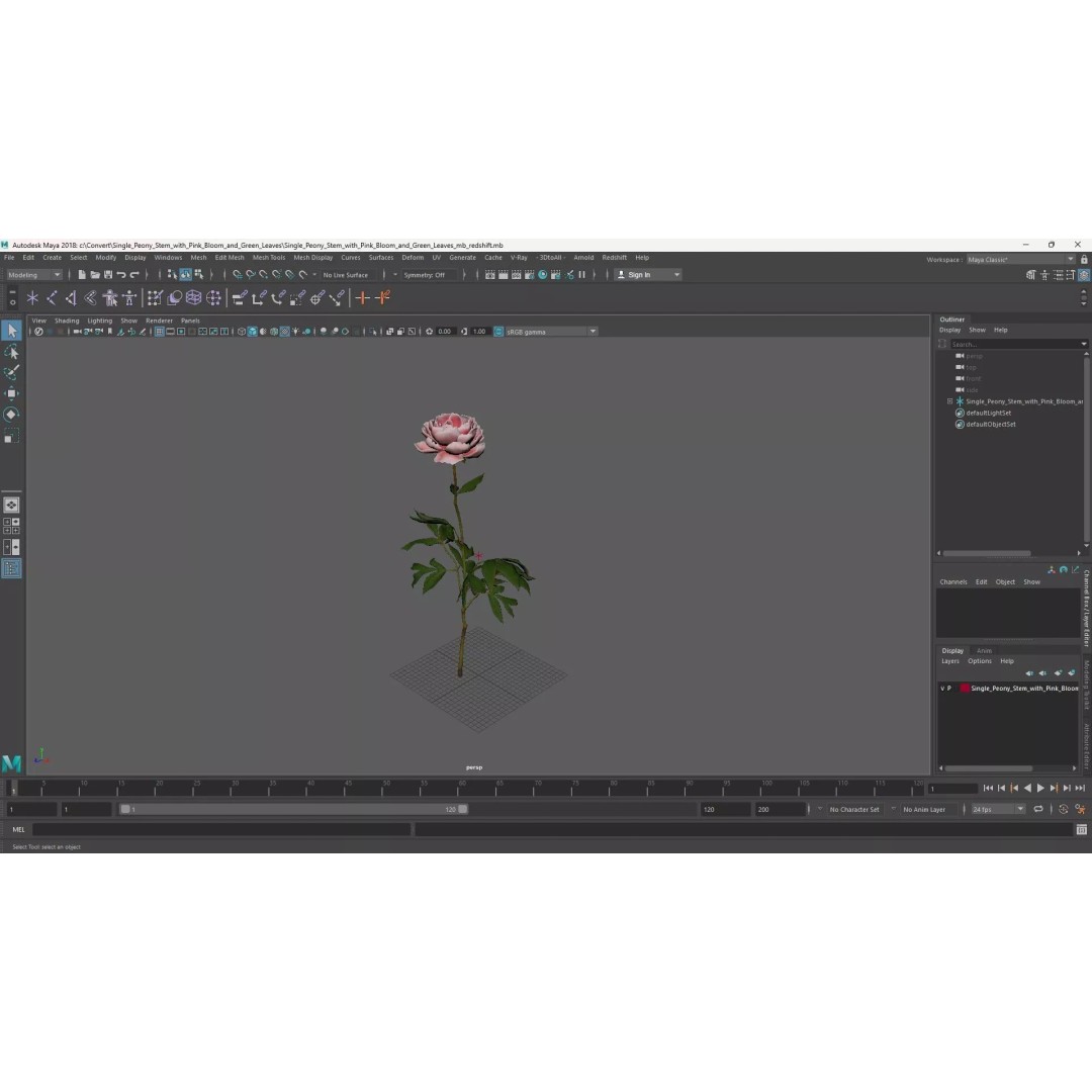 Single Peony Stem 3D Model – Realistic Floral Asset with PBR Textures - View 15