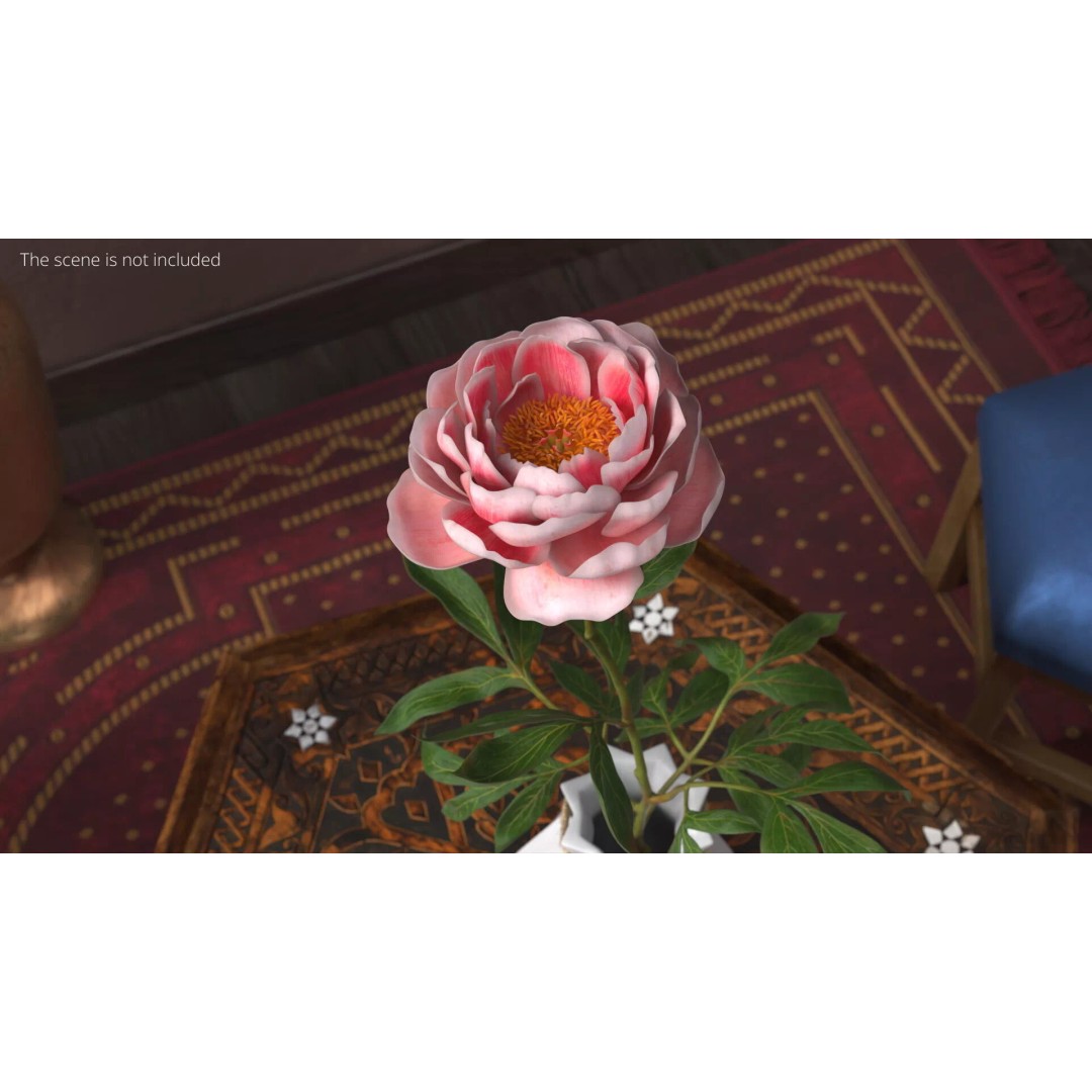 Single Peony Stem 3D Model – Realistic Floral Asset with PBR Textures - View 3